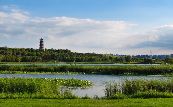 一片和|我的知行合一