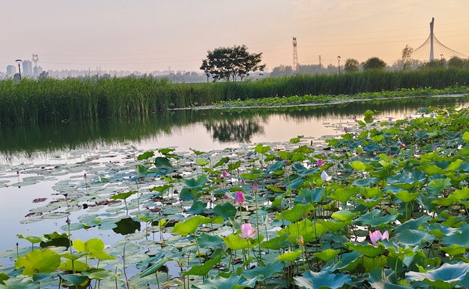 一片和|传统哲学的当代激活